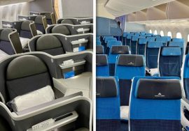 Premium economy vs economy